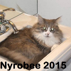 Nyrobee Jho-Deer 2000-2015